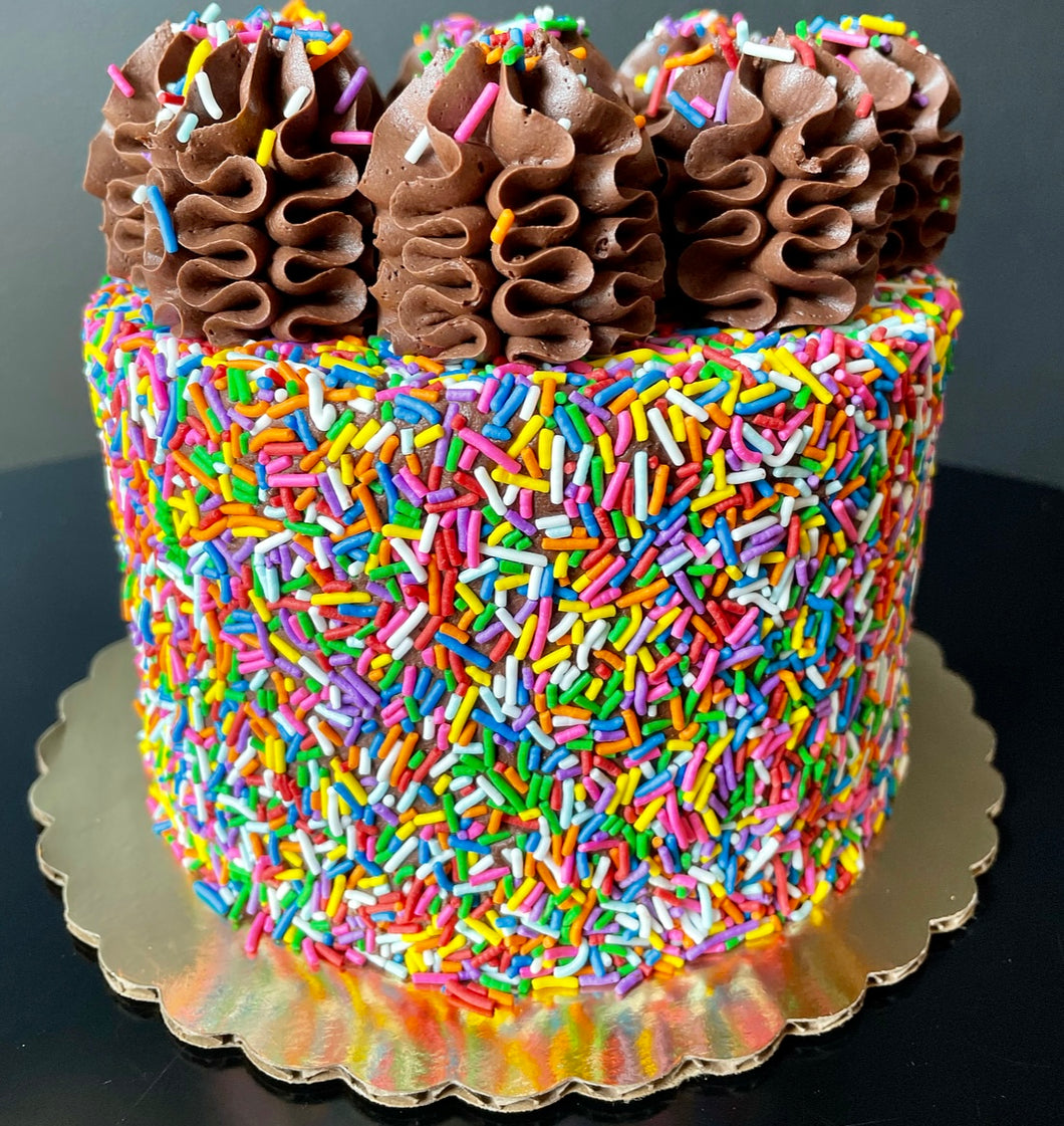 Chocolate Sprinkle Cake