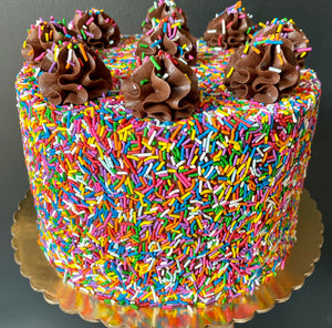 Chocolate Sprinkle Cake