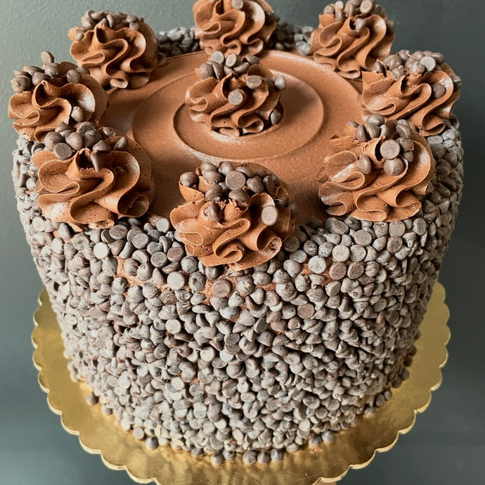 Double Chocolate Cake